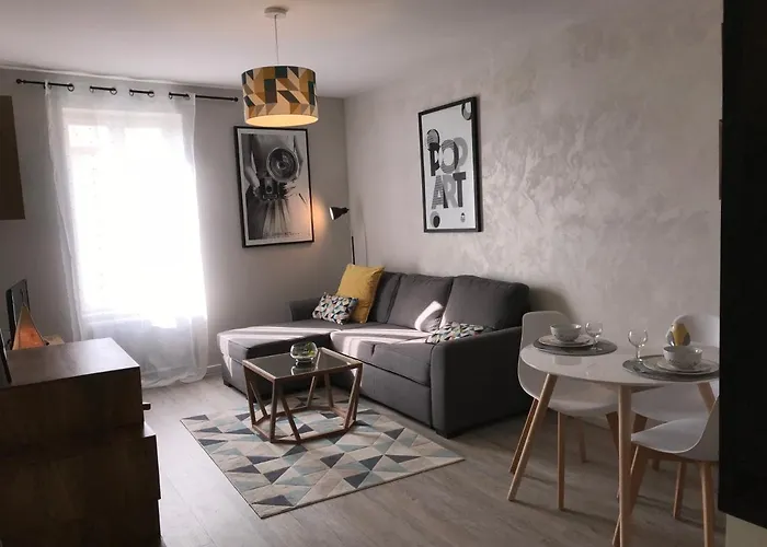 Appartement Contemporain Pont Vieux